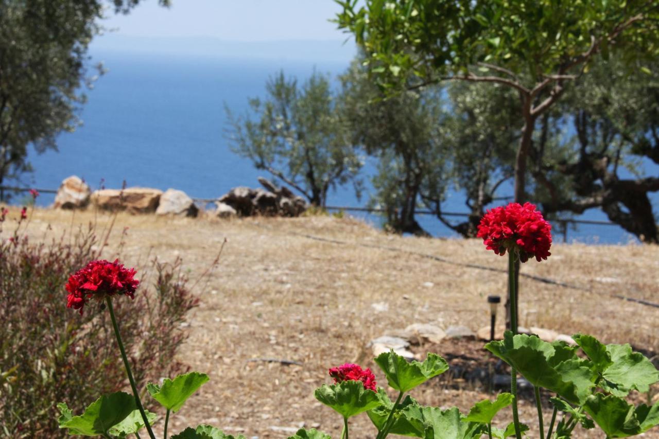 Sea And Mountain View Villa Kalamata Bagian luar foto